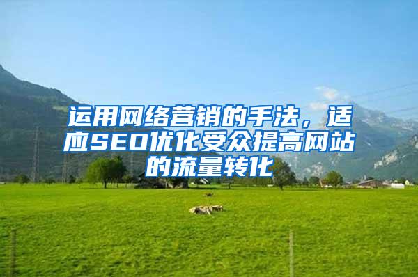 运用网络营销的手法，适应SEO优化受众提高网站的流量转化