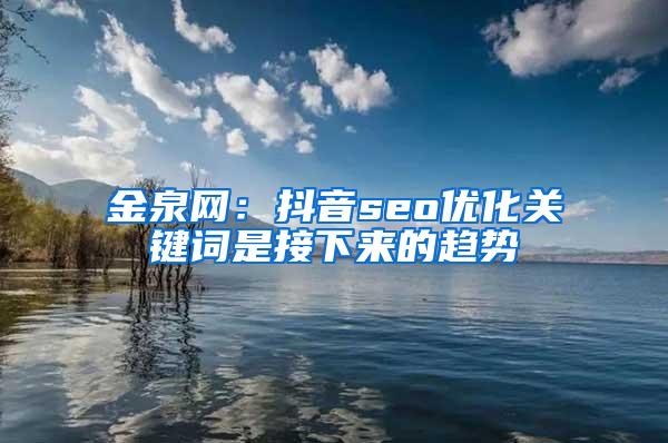 金泉网：抖音seo优化关键词是接下来的趋势