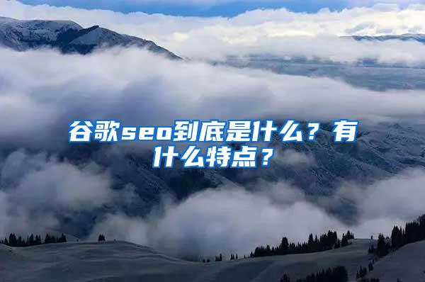 谷歌seo到底是什么？有什么特点？