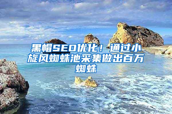 黑帽SEO优化！通过小旋风蜘蛛池采集做出百万蜘蛛