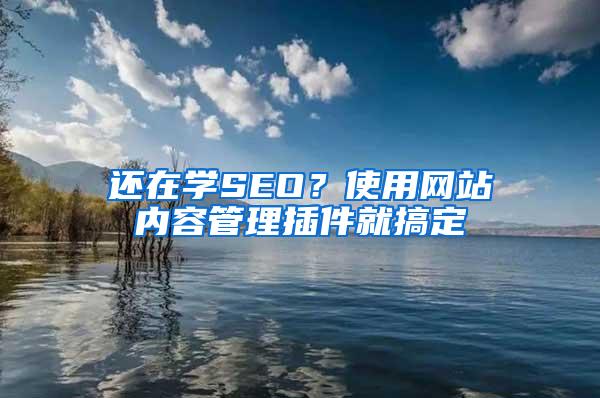 还在学SEO？使用网站内容管理插件就搞定