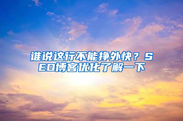 谁说这行不能挣外快？SEO博客优化了解一下