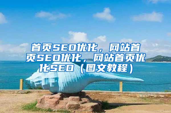 首页SEO优化，网站首页SEO优化，网站首页优化SEO（图文教程）