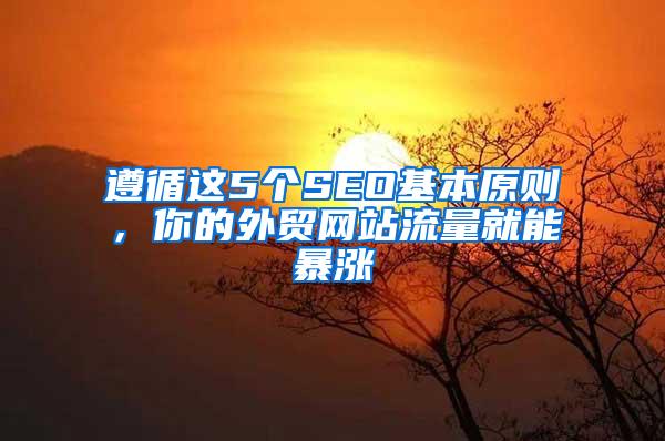 遵循这5个SEO基本原则，你的外贸网站流量就能暴涨