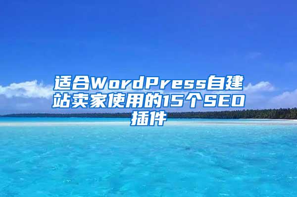 适合WordPress自建站卖家使用的15个SEO插件