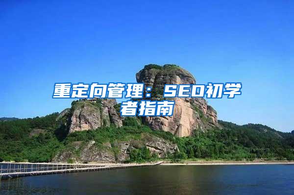 重定向管理：SEO初学者指南