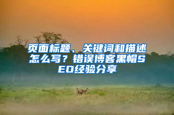 页面标题、关键词和描述怎么写？错误博客黑帽SEO经验分享