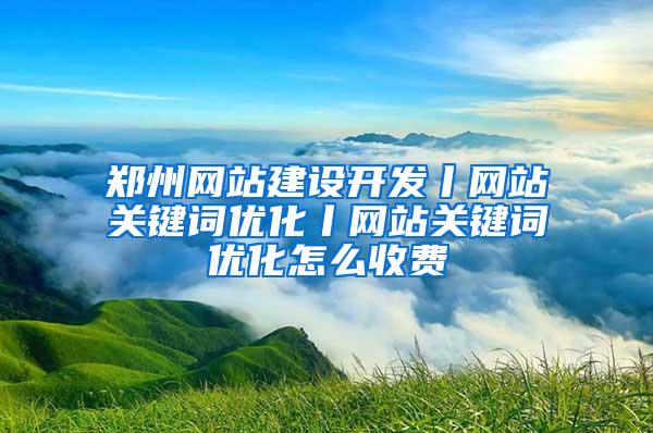 郑州网站建设开发丨网站关键词优化丨网站关键词优化怎么收费