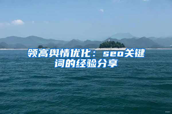 领高舆情优化：seo关键词的经验分享