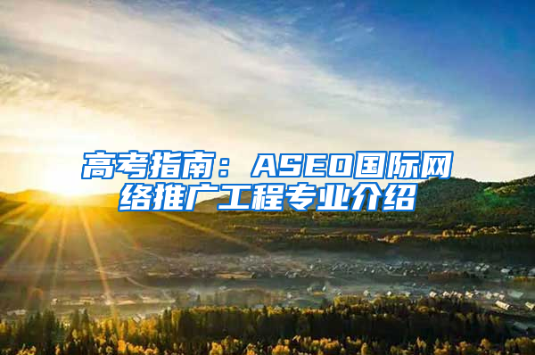 高考指南：ASEO国际网络推广工程专业介绍