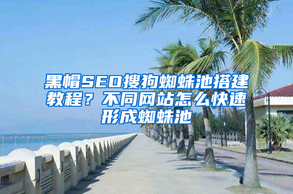 黑帽SEO搜狗蜘蛛池搭建教程？不同网站怎么快速形成蜘蛛池