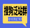 黑帽SEO搜狗泛站群seo优化技巧，怎么做到搜狗泛站群大量收录？